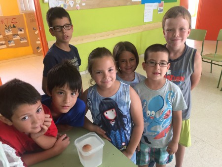 The egg is floating!